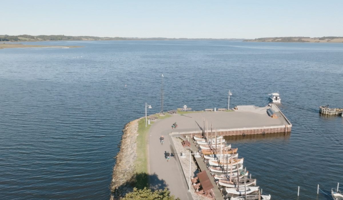 Luftfoto af Hjarbæk Havn med træbåde og fjorden bagved